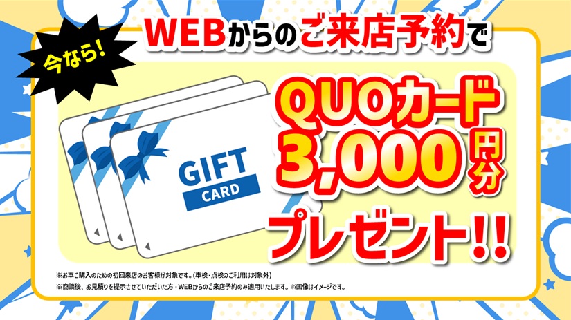 WEB限定クーポン